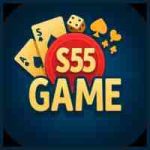 s55 game