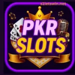 PkR SLOTS Game