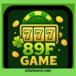 89F Game