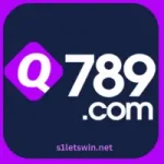 Q789 Game