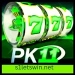 PK11 Game