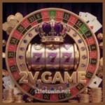 2V Game